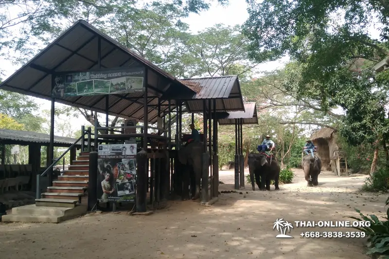 Катание на слонах, Деревня Слонов экскурсия компании Seven Countries в Паттайе Таиланде фото 19
