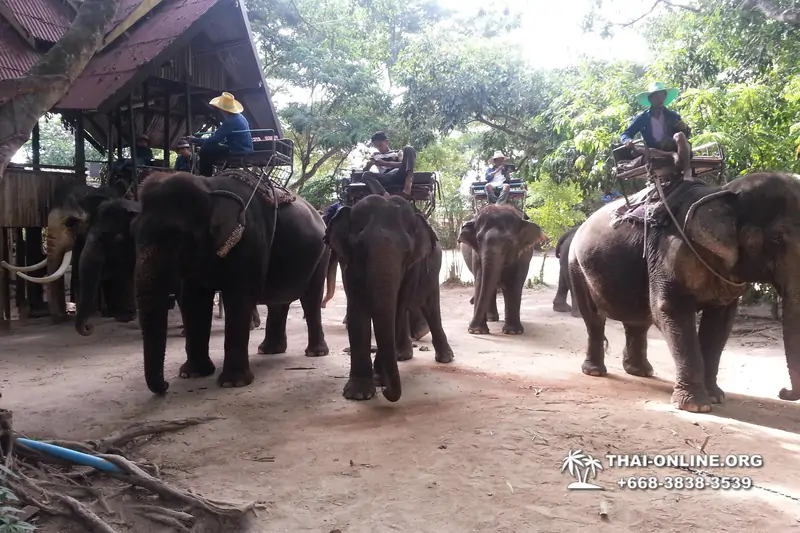 Деревня слонов поездка Тайланд Seven Countries - фото 59
