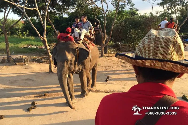 Деревня слонов поездка Тайланд Seven Countries - фото 65