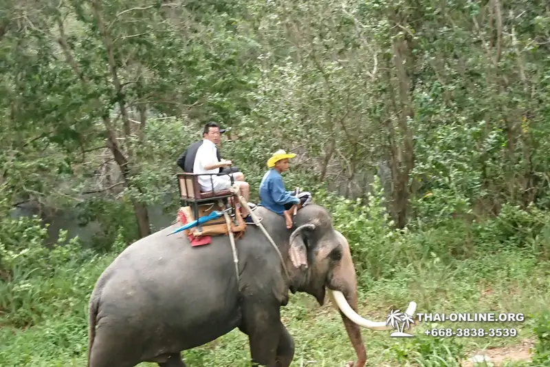 Деревня слонов поездка Тайланд фото Thai-Online 41
