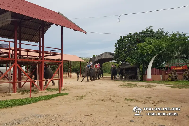 Деревня слонов поездка Тайланд Seven Countries - фото 74