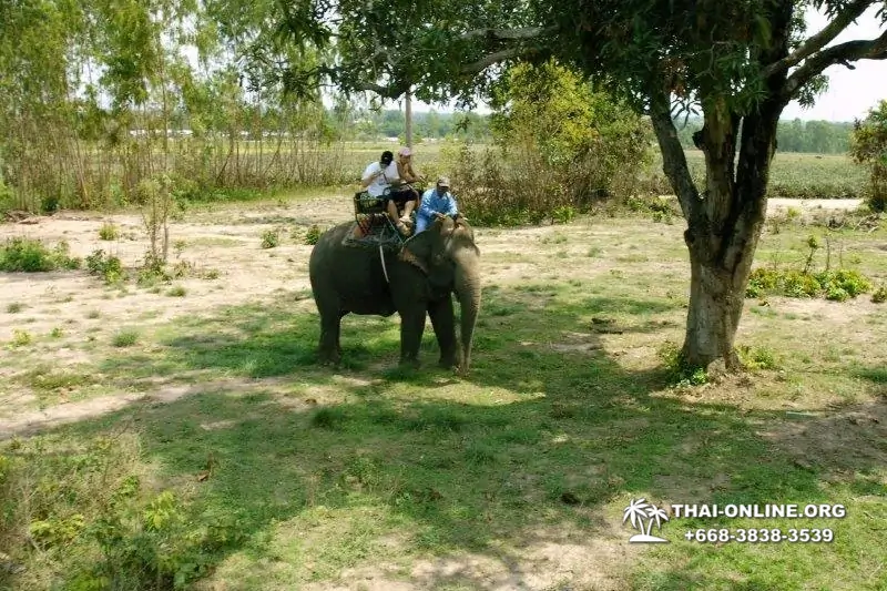 Катание на слонах, Деревня Слонов экскурсия компании Seven Countries в Паттайе Таиланде фото 29