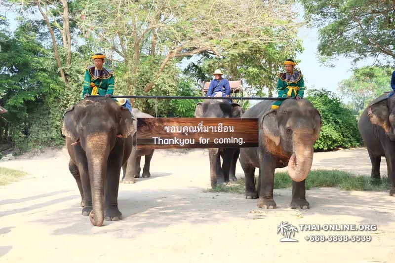 Деревня слонов поездка Тайланд Seven Countries - фото 50