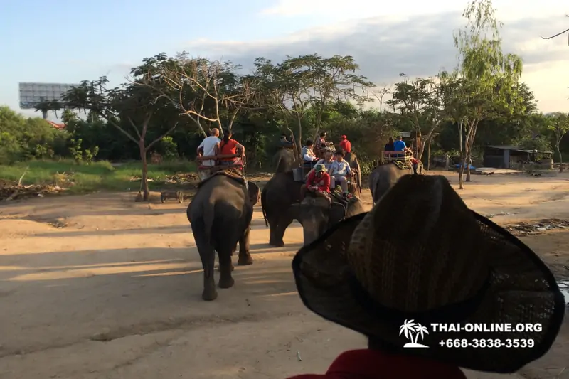 Деревня слонов поездка Тайланд Seven Countries - фото 85