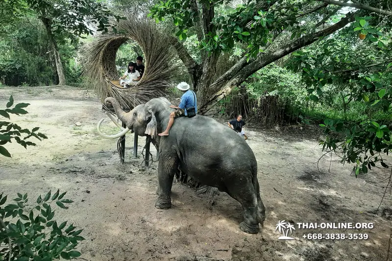 Катание на слонах, Деревня Слонов экскурсия компании Seven Countries в Паттайе Таиланде фото 14