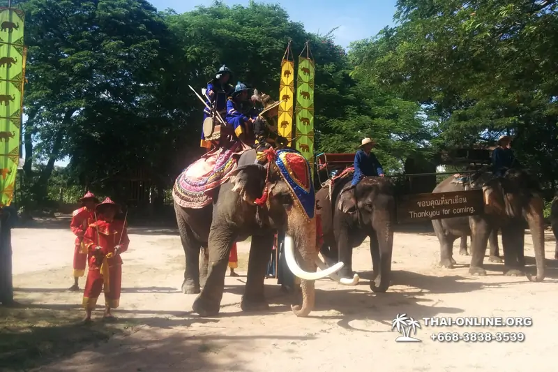 Деревня слонов поездка Тайланд Seven Countries - фото 84