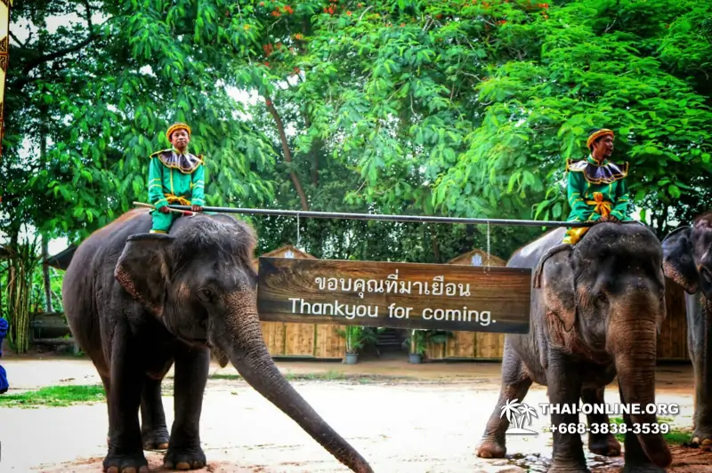 Катание на слонах, Деревня Слонов экскурсия компании Seven Countries в Паттайе Таиланде фото 22