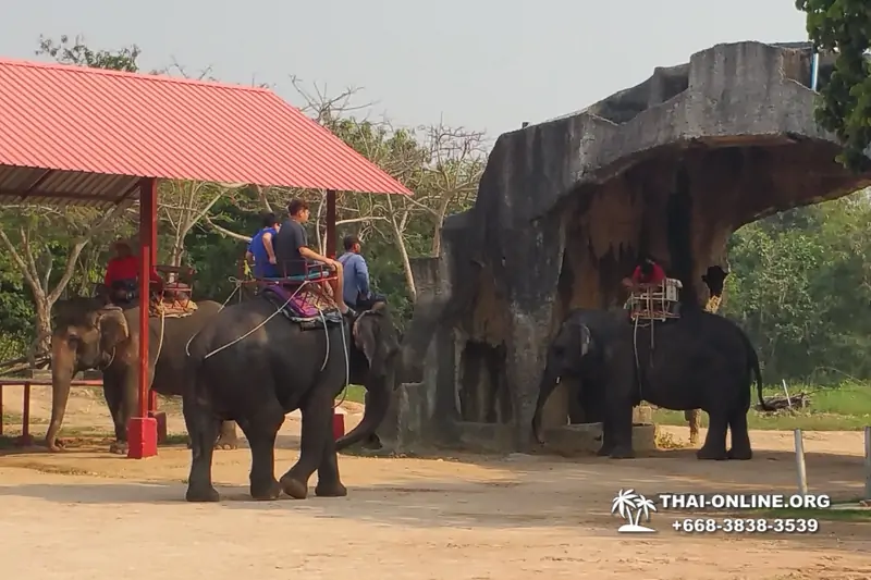 Деревня слонов поездка Тайланд фото Thai-Online 9