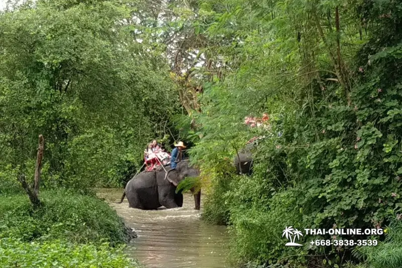 Катание на слонах, Деревня Слонов экскурсия компании Seven Countries в Паттайе Таиланде фото 30