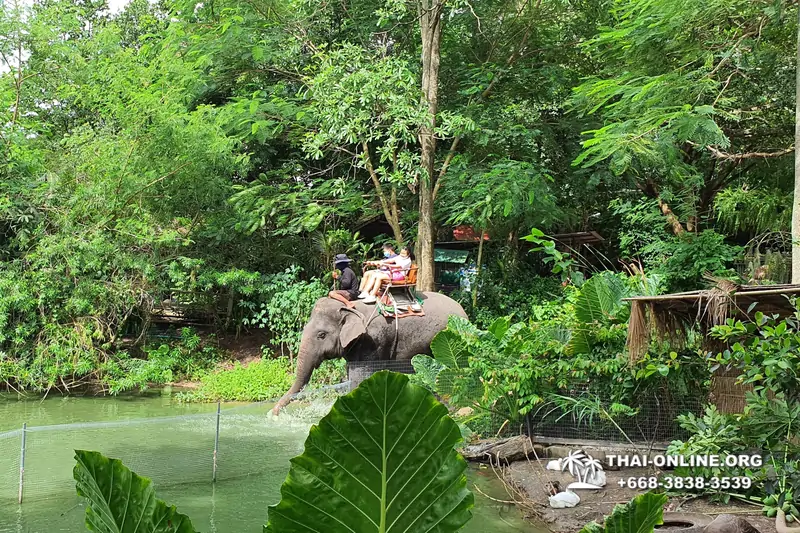 Катание на слонах, Деревня Слонов экскурсия компании Seven Countries в Паттайе Таиланде фото 13