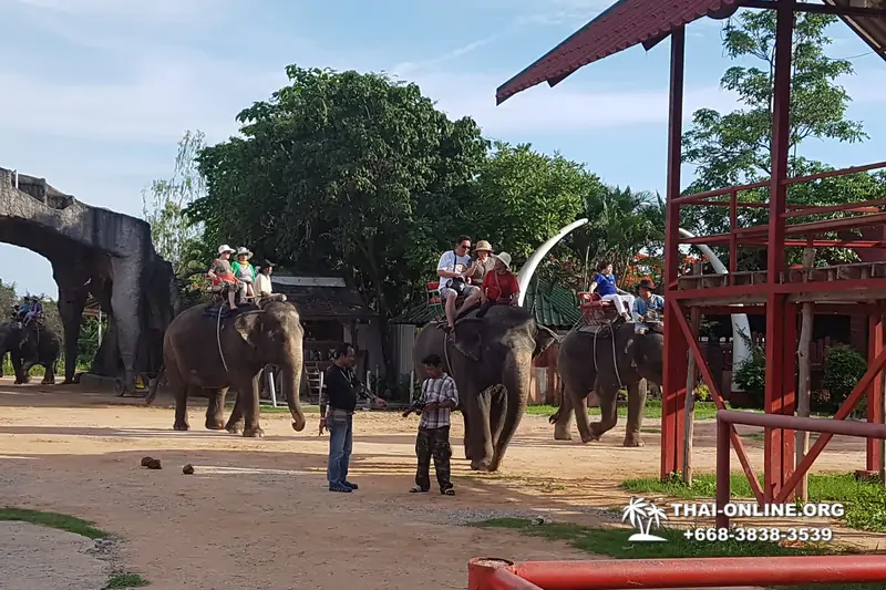 Деревня слонов поездка Тайланд Seven Countries - фото 61