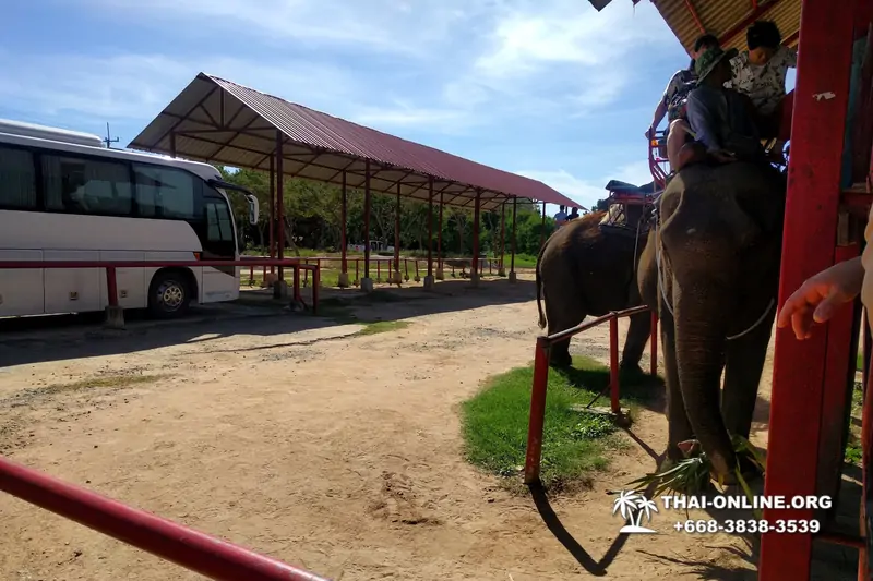 Деревня слонов поездка Тайланд Seven Countries - фото 69