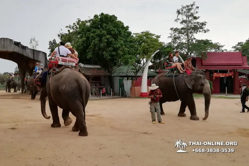 Деревня слонов поездка Тайланд Seven Countries - фото 95