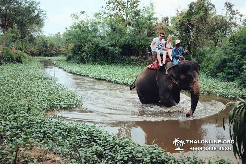 Катание на слонах, Деревня Слонов экскурсия компании Seven Countries в Паттайе Таиланде фото 4