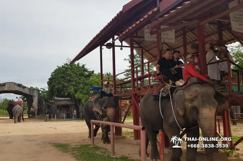 Деревня слонов поездка Тайланд Seven Countries - фото 86