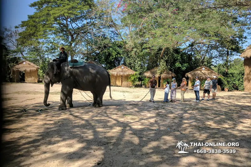Катание на слонах, Деревня Слонов экскурсия компании Seven Countries в Паттайе Таиланде фото 12