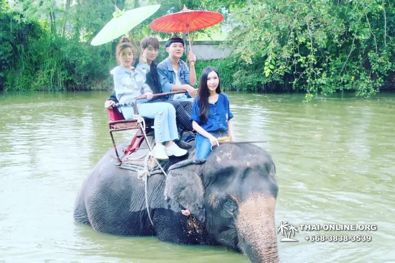 Деревня слонов поездка Тайланд Seven Countries - фото 58