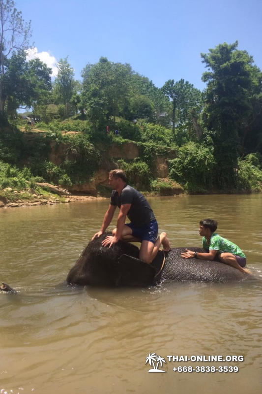 Рай на реке Квай экскурсия компании Seven Countries в Патайе Таиланде фото 17