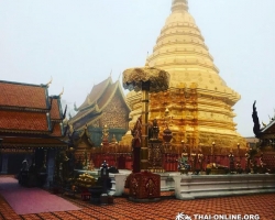 Золотой Треугольник Таиланд экскурсия Seven Countries Паттайя фото 61