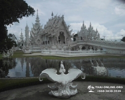Золотой Треугольник Таиланд экскурсия Seven Countries Паттайя фото 131