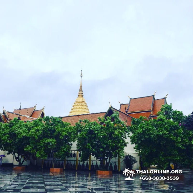 Золотой Треугольник Таиланд экскурсия Seven Countries Паттайя фото 98
