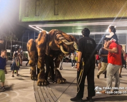 Каан шоу Паттайя, все экскурсии в Таиланде фото Thai-Online 69