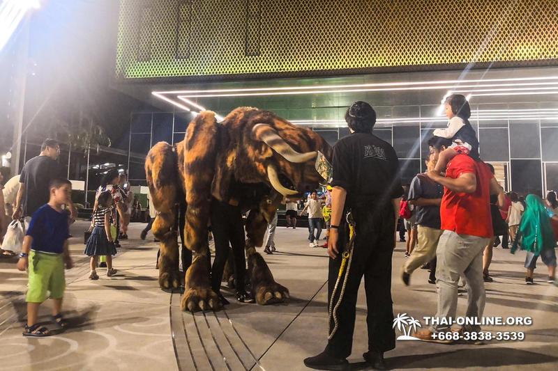 Каан шоу Паттайя, все экскурсии в Таиланде фото Thai-Online 69