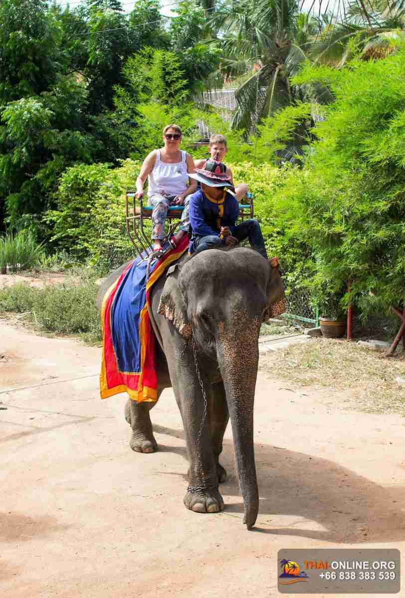 Паттайские Приключения поездка Тайланд - фото Thai-Online 51