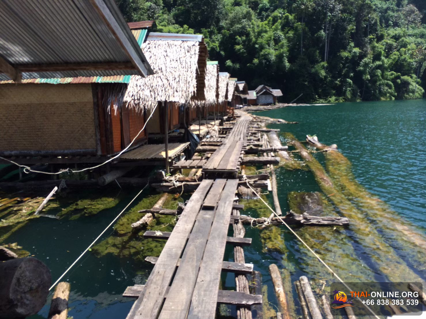 По Следам Леопарда на 3 дня Кхао Сок озеро Чао Лан из Паттайи экскурсия компании Seven Countries в Патайе Таиланде фото 9