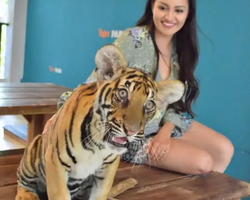 Тигровый парк поездка Таиланд 20