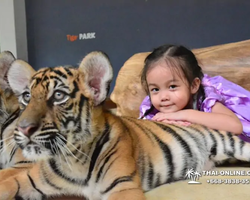 Тигровый парк поездка Таиланд 10