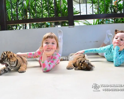 Тигровый парк поездка Таиланд 11
