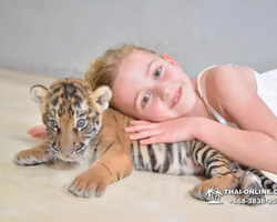 Тигровый парк поездка Таиланд 44