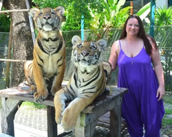 Тигровый парк поездка Таиланд, играть с тигрятами в Паттайе - фото 163