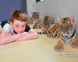 Тигровый парк поездка Таиланд 48