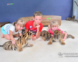 Тигровый парк поездка Таиланд 33