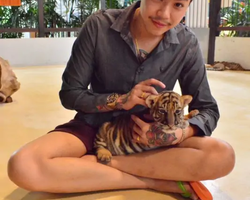 Тигровый парк поездка Таиланд 12