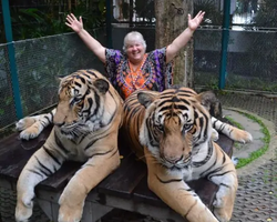 Тигровый парк поездка Таиланд, играть с тигрятами в Паттайе - фото 154