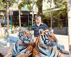 Тигровый парк поездка Таиланд, играть с тигрятами в Паттайе - фото 100