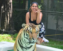 Тигровый парк поездка Таиланд, играть с тигрятами в Паттайе - фото 89