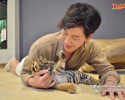 Тигровый парк поездка Таиланд 34
