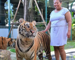 Тигровый парк поездка Таиланд, играть с тигрятами в Паттайе - фото 166