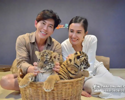 Тигровый парк поездка Таиланд 23