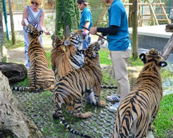 Тигровый парк поездка Таиланд, играть с тигрятами в Паттайе - фото 107