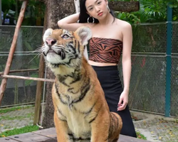 Тигровый парк поездка Таиланд, играть с тигрятами в Паттайе - фото 161