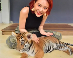 Тигровый парк поездка Таиланд 50