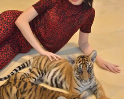 Тигровый парк поездка Таиланд 18