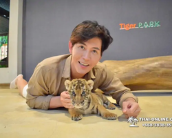 Тигровый парк поездка Таиланд 6