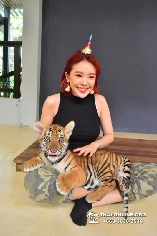 Тигровый парк поездка Таиланд 37