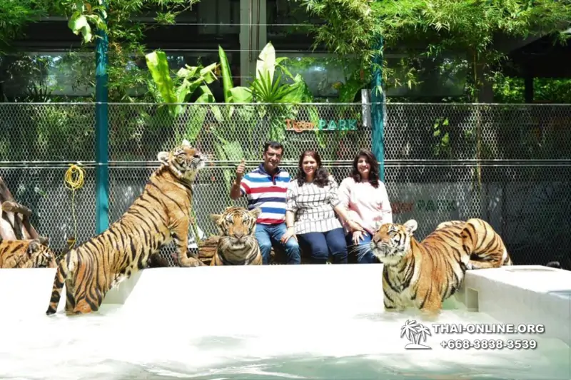 Тигровый Парк экскурсия в Паттайе, фотосессия с тигром Тайланд, подержать покормить играть с тигренком фото 27